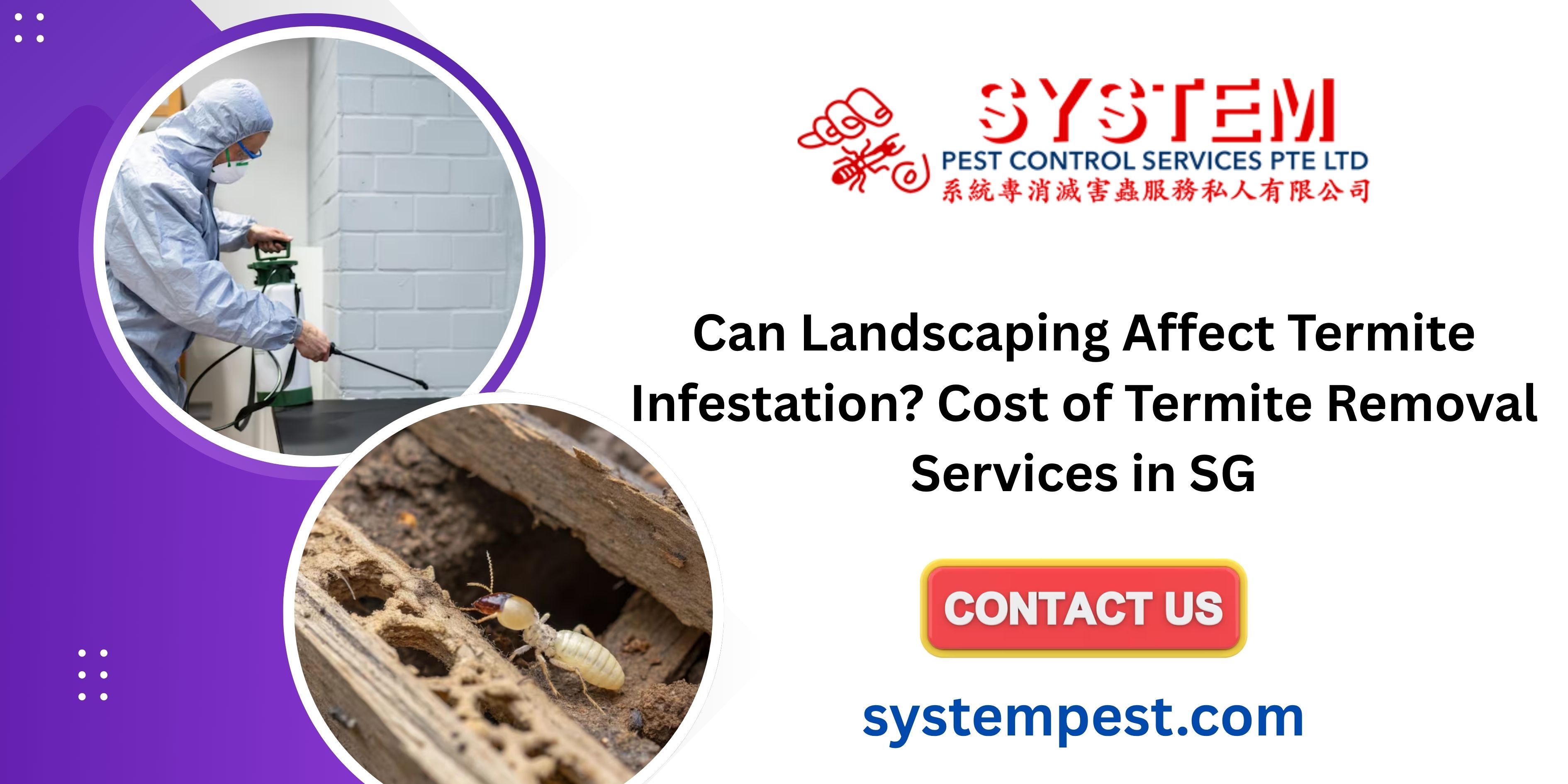 Can Landscaping Affect Termite Infestation? Cost of Termite Removal Services in SG